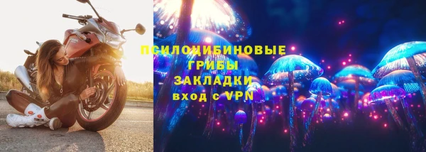 прущая мука Дмитров