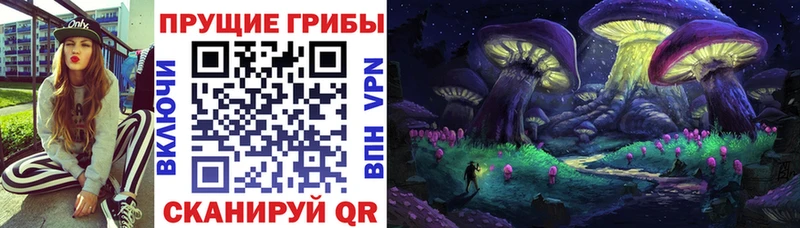 Купить  Тогучин  Галлюциногенные грибы Psilocybine cubensis 